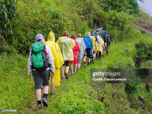 sri lanka trekking in rainy weather - narrow stock pictures, royalty-free photos & images