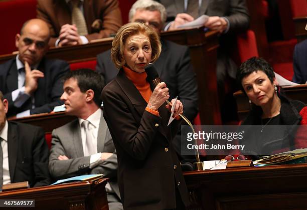 February 4: French Minister for Foreign Trade Nicole Bricq participates at the Questions to the Government at the french National Assembly on...