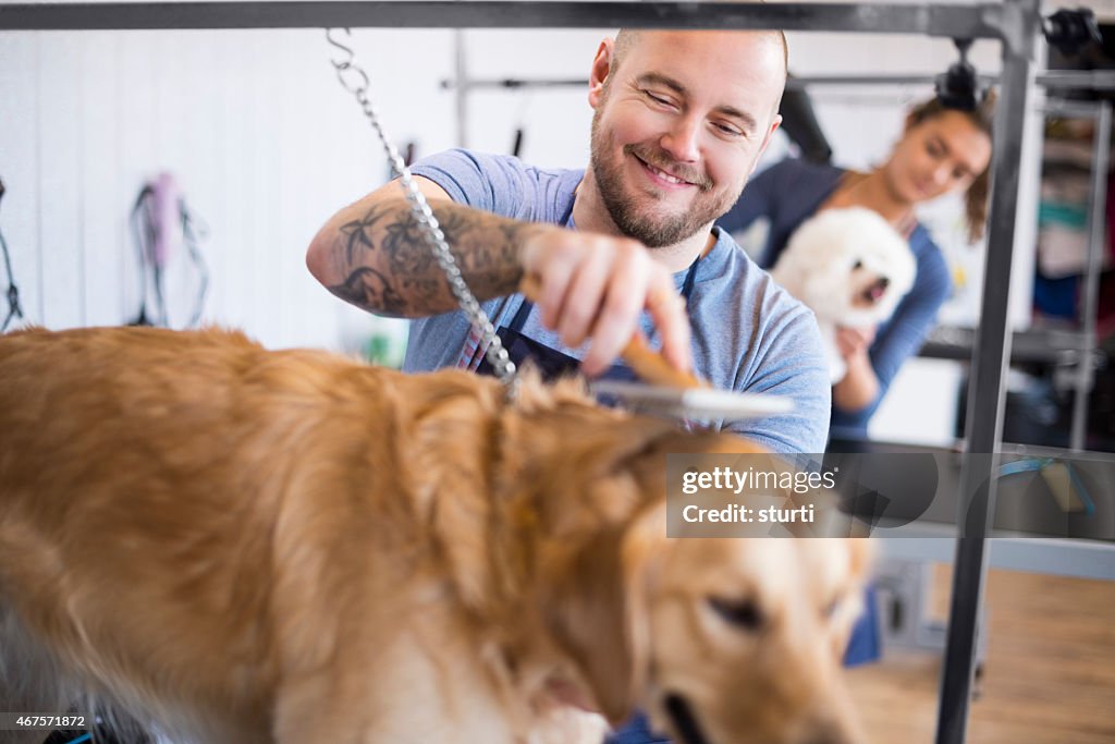 Male pet grooming salon owner and staff