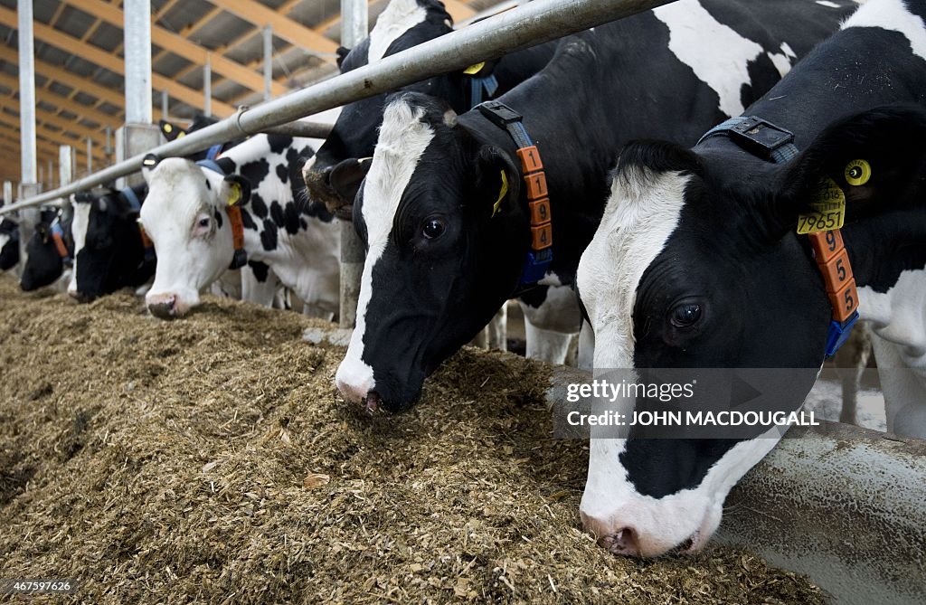 GERMANY-AGRICULTURE-ALIMENTATION