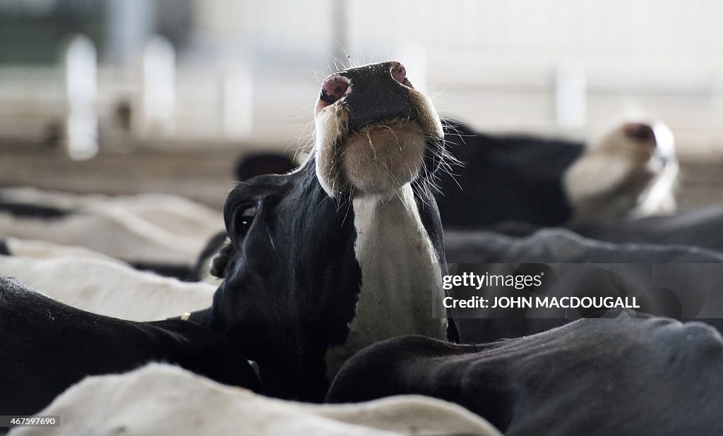 GERMANY-AGRICULTURE-ALIMENTATION