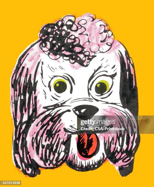 poodle - dog yellow background stock illustrations
