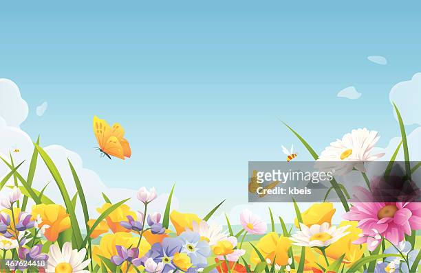 ilustrações, clipart, desenhos animados e ícones de flores sobre um prado de verão - florescendo