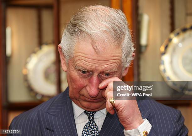 Prince Charles, Prince of Wales attends a reception to launch 'Travels To My Elephant' at Clarence House on March 26, 2015 in London, England. In...