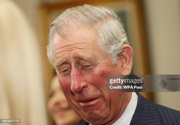 Prince Charles, Prince of Wales attends a reception to launch 'Travels To My Elephant' at Clarence House on March 26, 2015 in London, England. In...