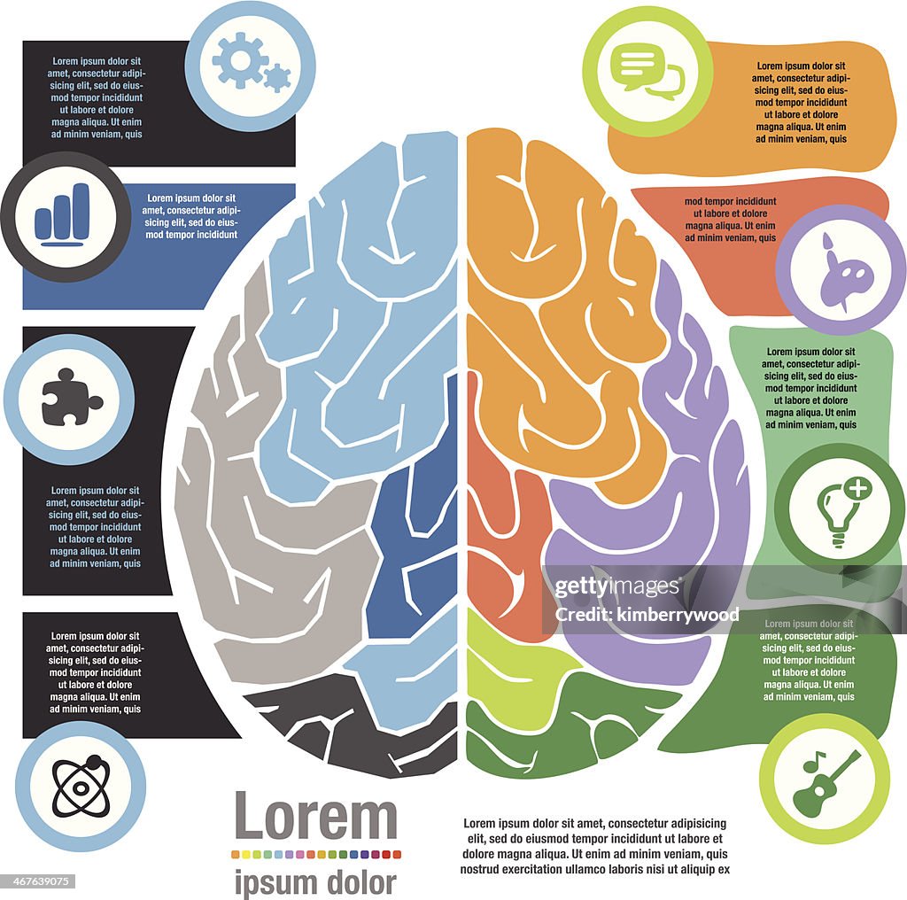 Left Right Brain System High Res Vector Graphic Getty Images