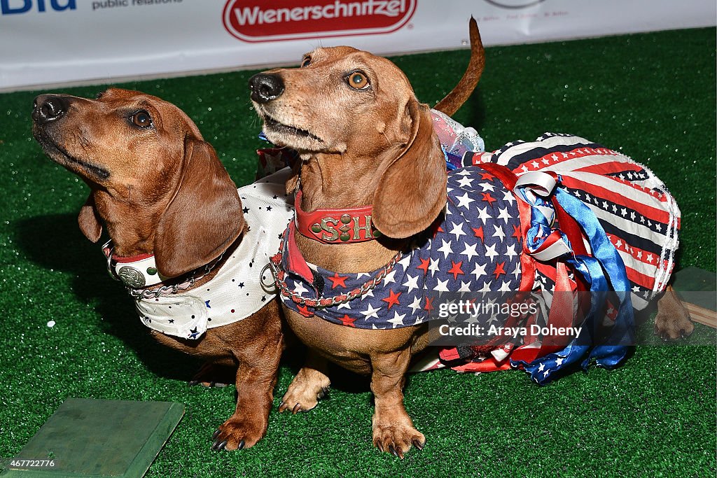 "Wiener Dog Internationals" - Los Angeles Premiere