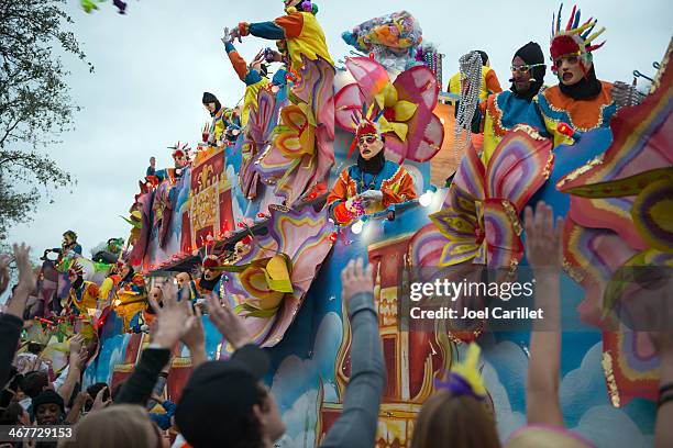 mardi gras parade von krewe der bluebell wood - mardi gras stock-fotos und bilder