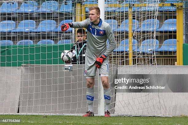 Marek Rodak of Slovakia during the UEFA Under19 Elite Round match between U19 Germany and U19 Slovakia at Carl-Benz-Stadium on March 26, 2015 in...