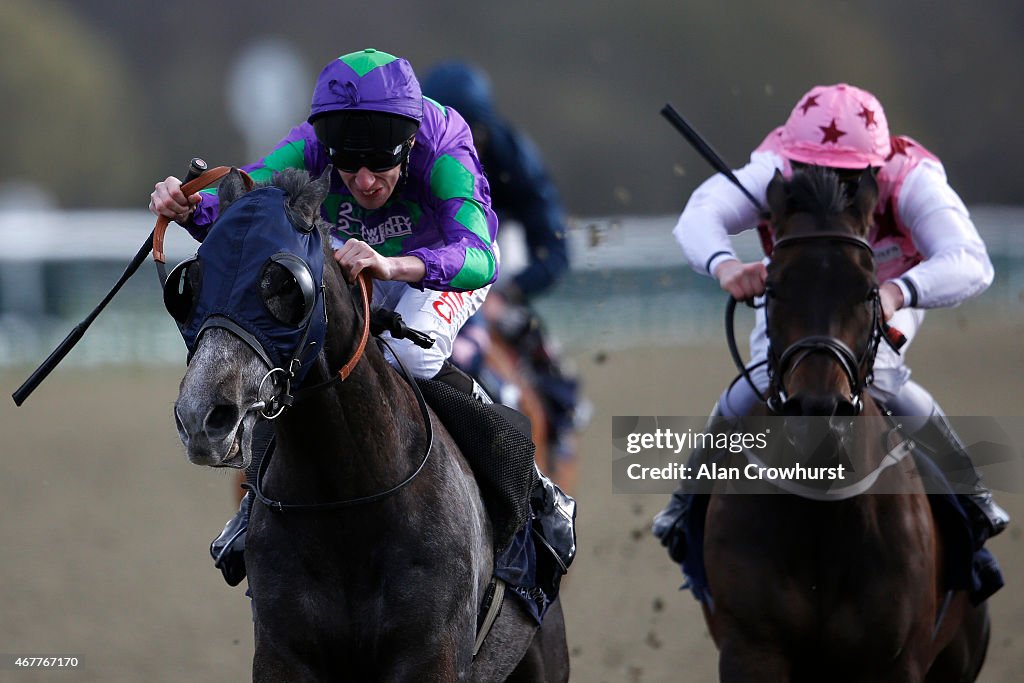 Lingfield Races