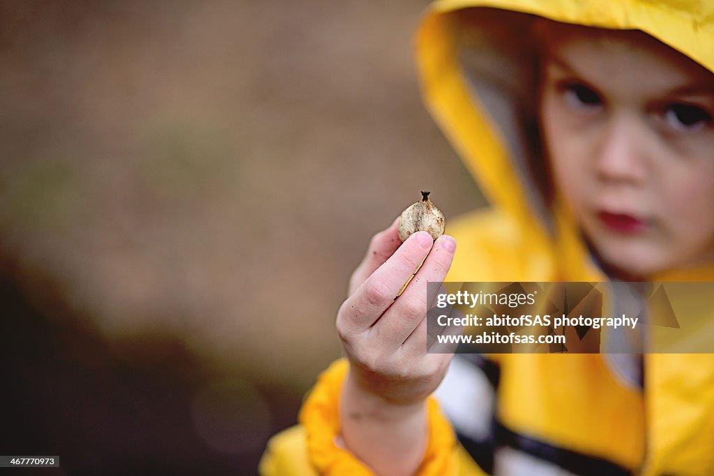 Boy holding a nut