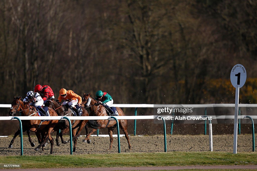 Lingfield Races