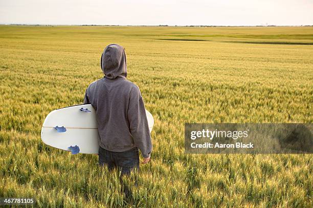 surfer with a surfboard in an ocean of wheat - ohne zusammenhang stock-fotos und bilder