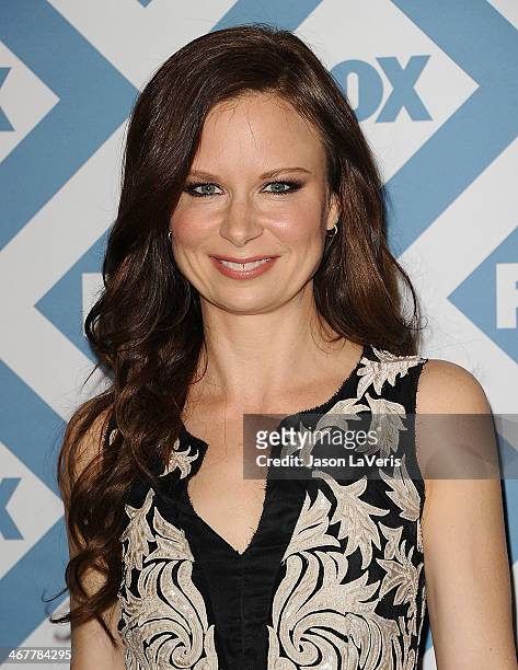 Actress Mary Lynn Rajskub attends the FOX All-Star 2014 winter TCA party at The Langham Huntington Hotel and Spa on January 13, 2014 in Pasadena,...