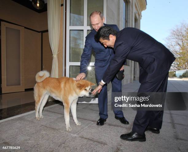 Putin Shin Shinzo Abe Vladimir Putin Photos and Premium High Res Pictures - Getty ...