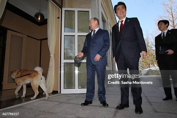 Russian President Vladimir Putin with an Akita Inu dog called Yume greets Japanese Prime Minister Shinzo Abe at the Bocharov Ruchey state residence...