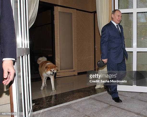 Russian President Vladimir Putin with an Akita Inu dog called Yume greets Japanese Prime Minister Shinzo Abe at the Bocharov Ruchey state residence...