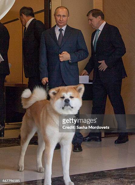 Russian President Vladimir Putin with an Akita Inu dog called Yume greets Japanese Prime Minister Shinzo Abe at the Bocharov Ruchey state residence...