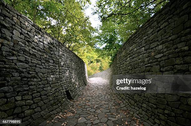 stone wall and stone path in the forest - karuizawa stock-fotos und bilder