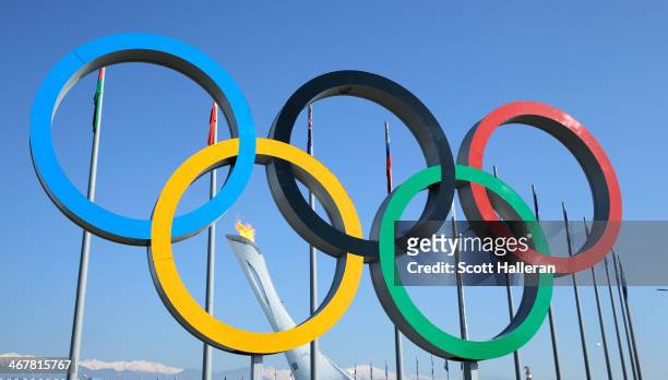 Olympic Rings are seen under the Olympic Cauldron inside Olympic Park during the 2014 Winter Olympic Games on February 8, 2014 in Sochi, Russia.