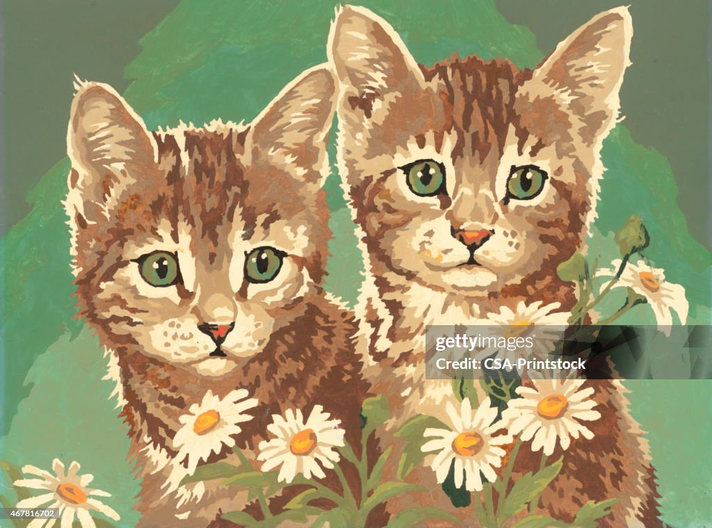 Two kittens