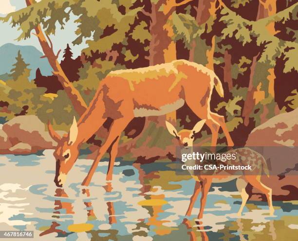 deer - deer creek stock illustrations