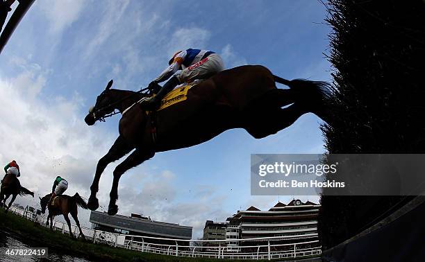 Jason Maguire riding Desert Cry clears the water jump during the Betfair Cash Out Chase at Newbury Racecourse on February 8, 2014 in Newbury, England.