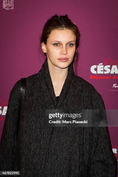 Actress Marine Vacth attends the 'Cesars 2014' nominee luncheon at 'Le Fouquet's' restaurant on February 8, 2014 in Paris, France.