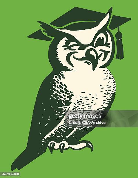 wise owl wearing mortarboard - mascot stock illustrations