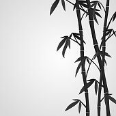 White background with black bamboo stems