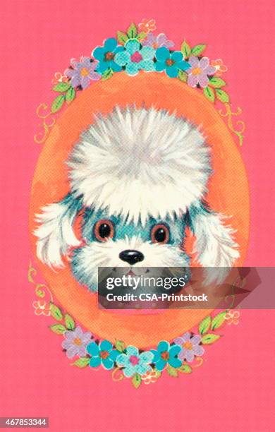 puppy - poodle stock illustrations