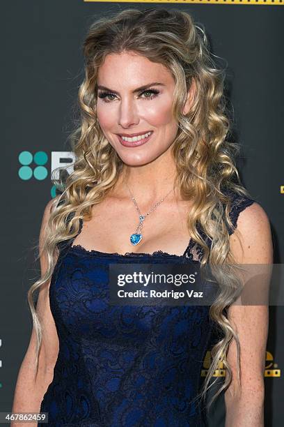 Actress Kelly Greyson attends the 22nd Annual Movieguide Awards Gala at Universal Hilton Hotel on February 7, 2014 in Universal City, California.