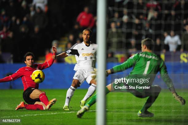 Cardiff player Fabio and keeper David Marshall look on as Wayne Routledge scores the opening goal during the Barclays Premier League match between...