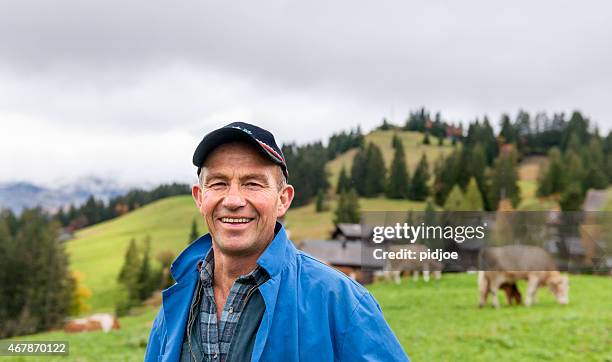 porträt der dairy farmers in feld mit rind - farmer cow stock-fotos und bilder