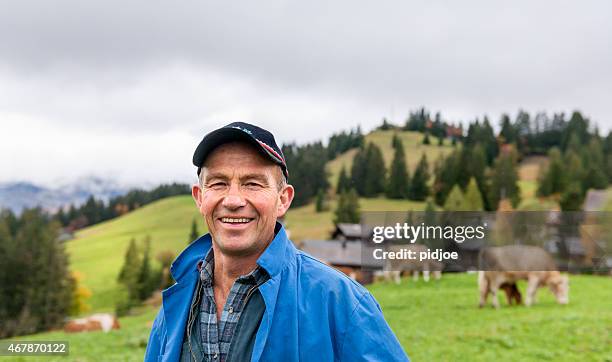portrait of dairy farmer in field with cattle - rancher stockfoto's en -beelden
