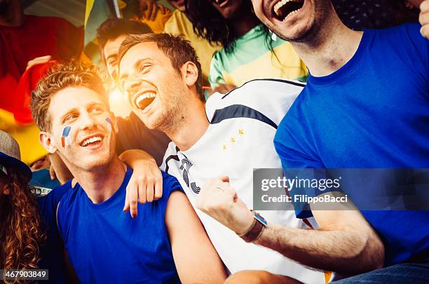 fans of different nations at the stadium together - crowd of brazilian fans stockfoto's en -beelden