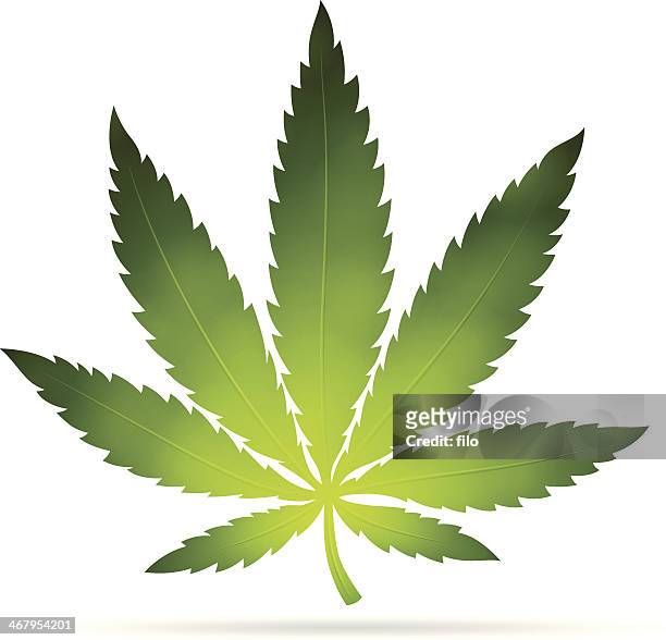 stockillustraties, clipart, cartoons en iconen met cannabis leaf - weed