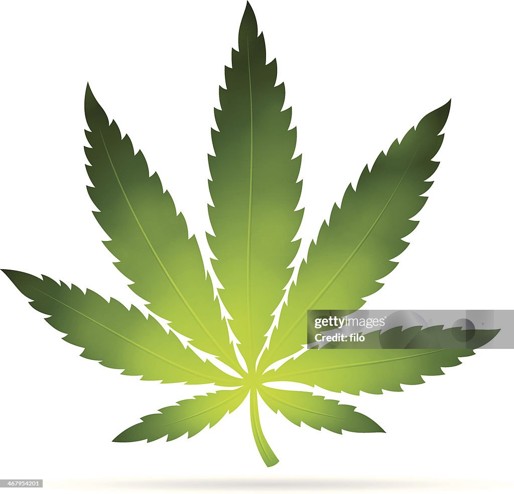 Folha de Cannabis