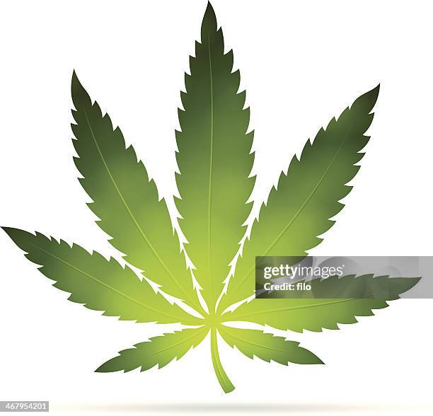 cannabis leaf - marijuana herbal cannabis 幅插畫檔、美工圖案、卡通及圖標