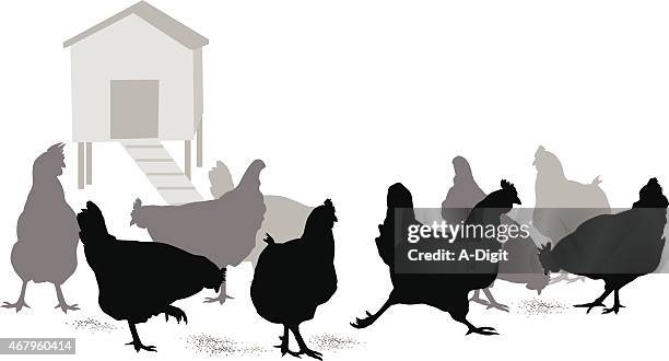 freerun - enclosure stock illustrations