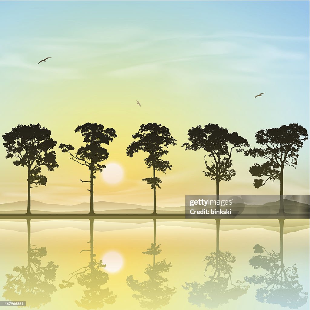 Fine Line Tree Line Line Of Trees High-Res Vector Graphic - Getty Images