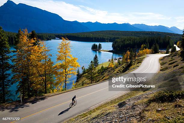 road bicycling girl - racing bicycle stock pictures, royalty-free photos & images