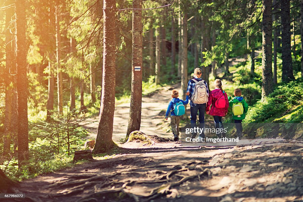 Mutter und Kinder Wandern im sonnigen Wald