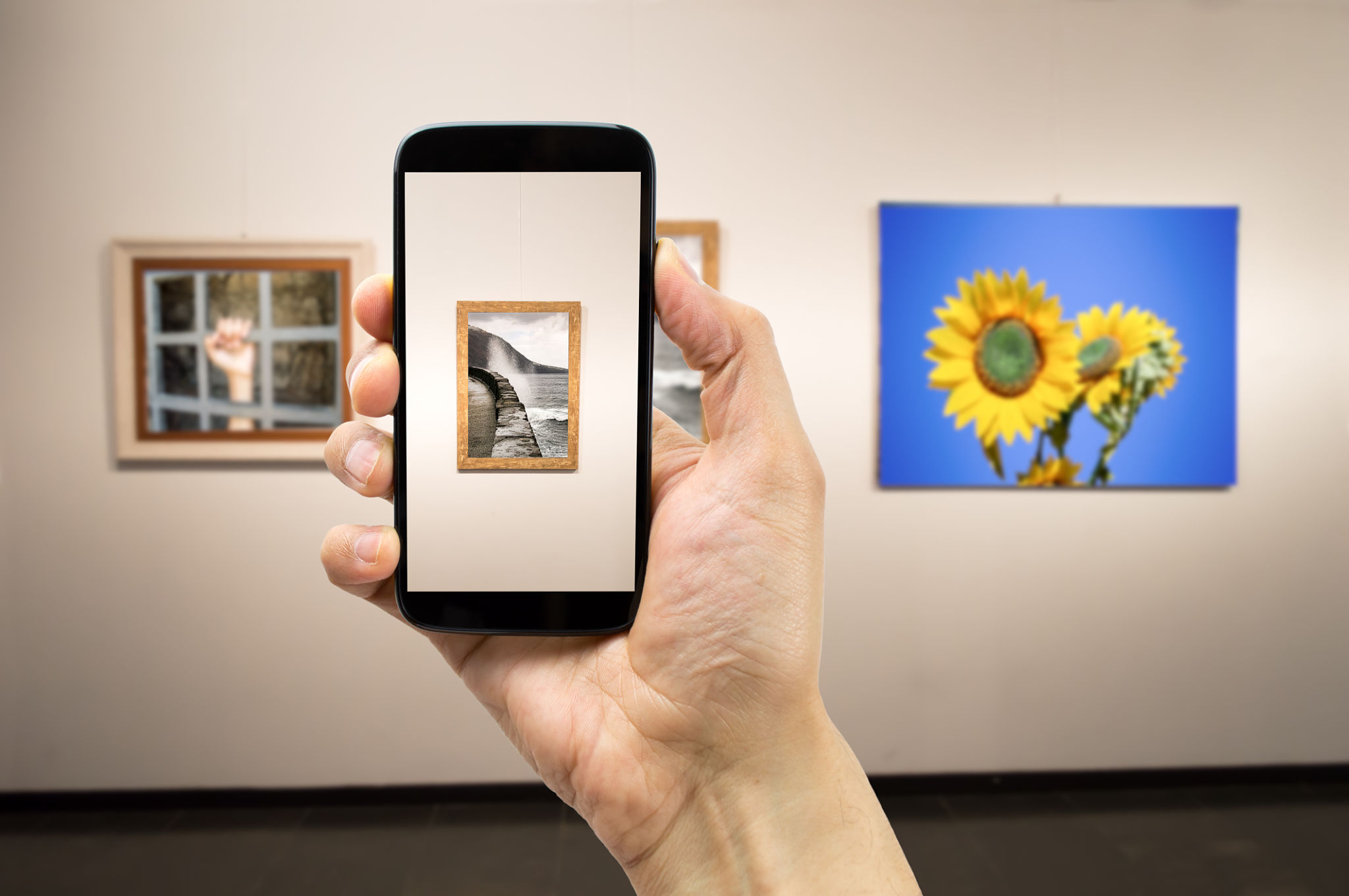 photographing art