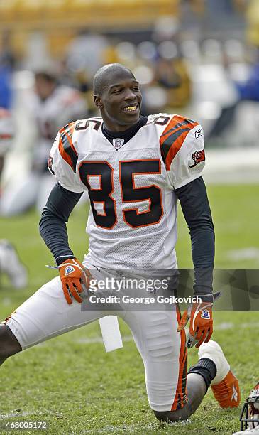 Wide receiver Chad Johnson of the Cincinnati Bengals looks on from the field before a National Football League game against the Pittsburgh Steelers...