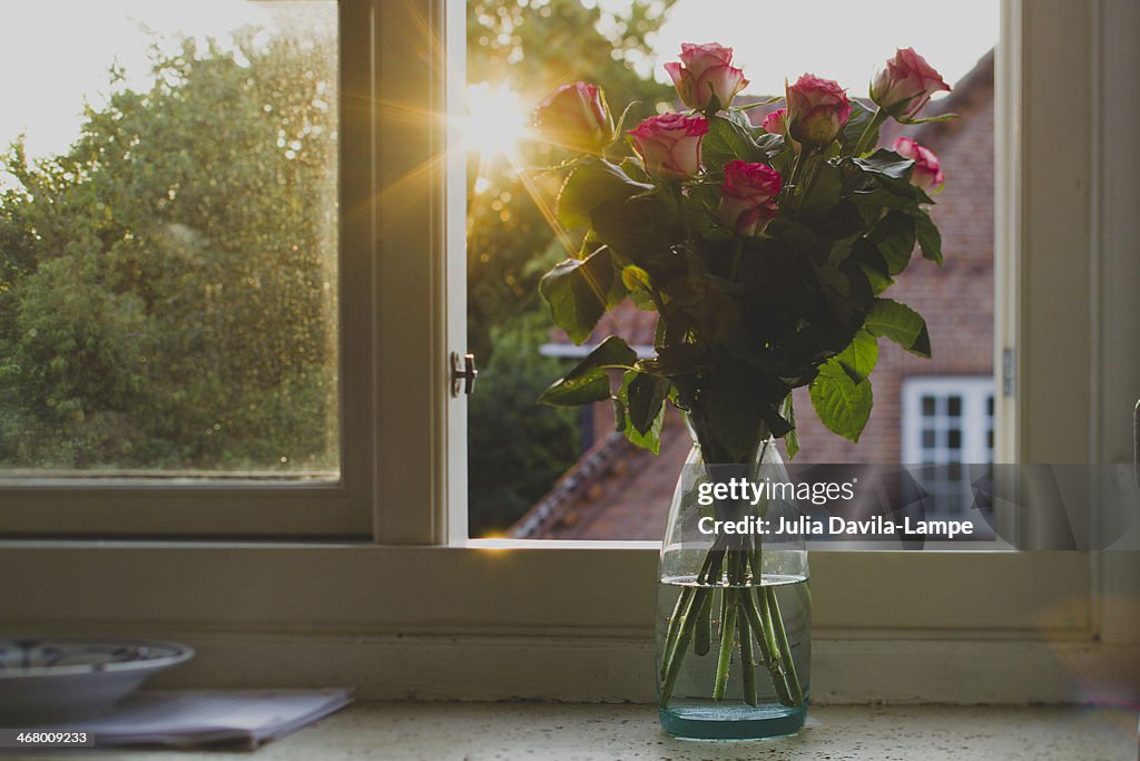 Pink Roses On Window Sill High-Res Stock Photo - Getty Images