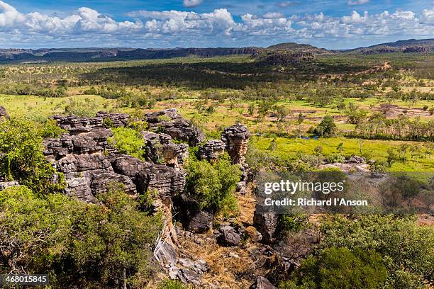 escarpment & floodplain from injalak hill - escarpment stock pictures, royalty-free photos & images