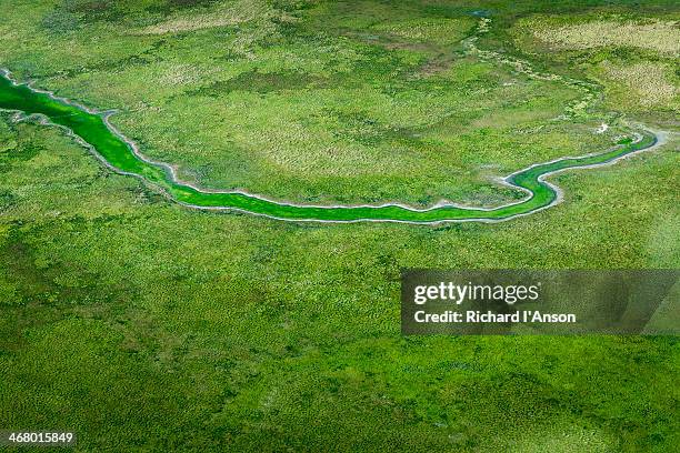 aerial of river & floodplains in top end - darwin australia aerial stock pictures, royalty-free photos & images