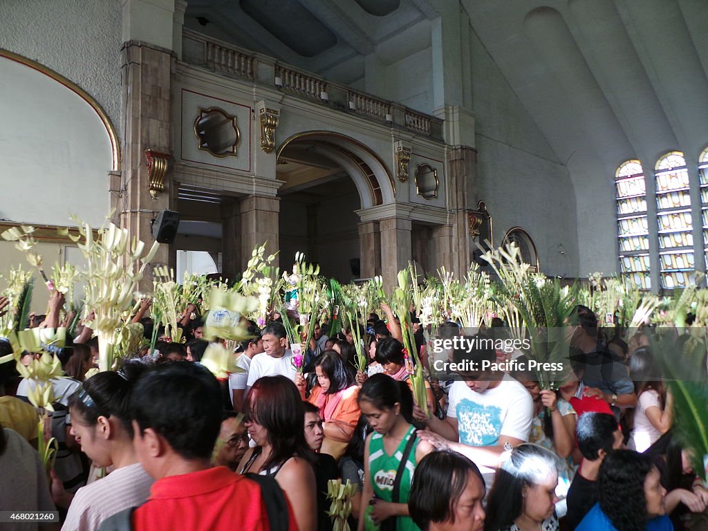 Filipino Catholic celebrates Palm Sunday by bringing '...