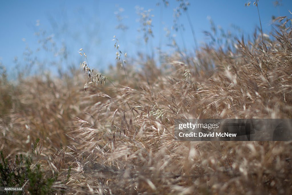 Los Angeles March Heat Wave Shatters Records